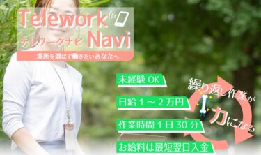 Life Navigate.LTD「Telework Navi(テレワーク ナビ)」は稼げる副業？