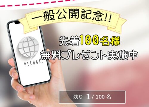 登藤貴大　ネオバンキングプレッジ(PLEDGE)