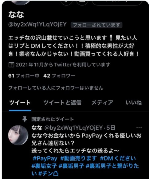 PayPay詐欺